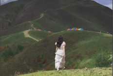 Bukit Halbung Samosir, Surga Tersembunyi di Jantung Danau Toba