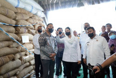 Neraca Perdagangan Indonesia Surplus USD 33,48 Miliar, Naik 51 Persen