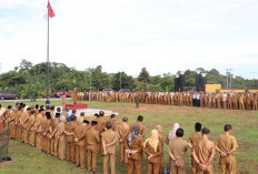 Tahun 2025, TPP ASN Pemkab Bengkulu Tengah Cair Hanya 7 Bulan