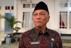 Efisiensi Anggaran, Perampingan OPD jadi Solusi