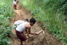 Murid SD Gotong Royong Perbaiki Jalan Rusak, DPRD Soroti Minimnya Pembangunan Fisik