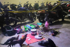 Gerebek Judi Sabung Ayam di Rejang Lebong, Ini Daftar Barang Bukti yang Diamankan Polsek Bermani Ulu 