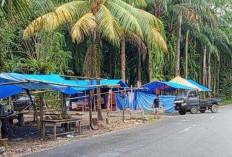 Pedagang Durian Bengkulu Selatan Raup Omset Belasan Juta Rupiah 