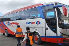 Arus Mudik Nataru di Terminal Simpang Nangka Rejang Lebong Menurun