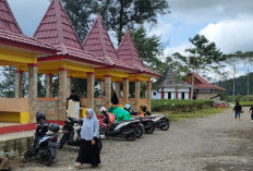 Wisata Kebun Teh Kabawetan Minim Fasilitas Dikritik Wisatawan Luar Provinsi