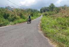 Kabid Bina Marga Klaim Jalan Sudah Ditebas Bayang, Eko: Saya Lihat Masih Dipenuhi Semak Belukar