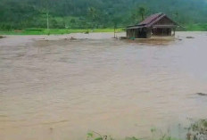 Sawah Terendam Banjir, Petani Minta Dibangun Tanggul Pembatas dengan Sungai