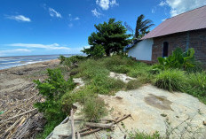 Abrasi Pantai di Pondok Kelapa, Rumah Warga Hilang Masuk Laut