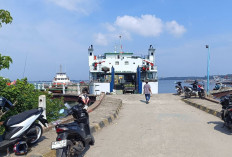  8 Ton Pisang Enggano Gagal Diseberangkan