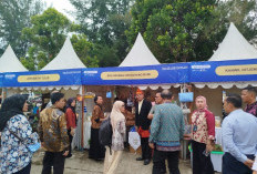 Alternatif Modal UMKM Bengkulu Selain KUR Masih Kurang Dikenal