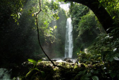 Topang PAD dengan Garap Maksimal Potensi Wisata Alami