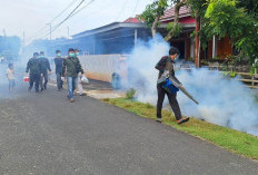 Cegah Penyebaran Nyamuk Penyebab DBD, Warga Desa di Kabupaten Ini Lakukan Fogging