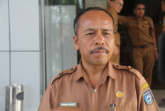 DBH Kelapa Sawit Bengkulu Utara Ikut Turun di 2026, Ini Dampaknya 