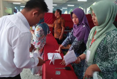 PPPK Tahap II Total 916 Pendaftar di Bengkulu, Tenaga Teknis Paling Diminati