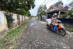 Masih Ada Jalan Rusak di Tengah Kota Curup, Sudah Lama Rusak Belum Pernah Diperbaiki