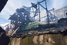 Kebakaran Rumah di Pasar Purwodadi Hebohkan Warga, Ini Penyebabnya 