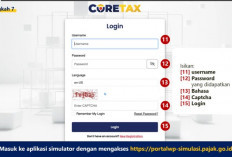 Resmi, DJP Luncurkan Simulator Coretax, Begini Cara Penggunannya