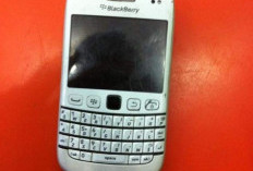 Masih Ingat Dengan BlackBerry?  Ini 10 Hp BlackBerry yang Hits Pada Masanya