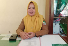 Pernikahan Dini di Seluma Tinggi, Awal Tahun Tercatat 24 Kasus 