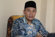 Dinkes Kaur Catat 66 Kasus GHPR, Terbanyak di Wilayah Tanjung Kemuning