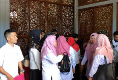 Tersedia 150 Formasi, Pelamar CPNS Mukomuko Capai 1.695 Orang, Formasi Dokter Spesialis Nihil Pendaftar