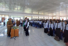 Pemkab Bengkulu Selatan Terima 457 Formasi CPNS dan PPPK, Terbanyak Tenaga Guru