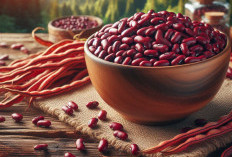Bantu Turunkan Berat Badan! Ini 10 Manfaat Kacang Merah bagi Kesehatan