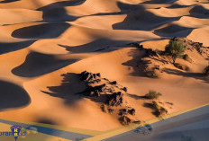 Menilik 4 Fakta Ilmiah Kehidupan di Bawah Pasir Gurun Sahara