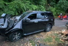 Pohon Tumbang di Liku 9, Fortuner Pasutri Asal Bengkulu jadi Korban