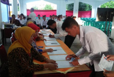 Hasil Perankingan, Tunggu SKB Tes CPNS Kabupaten/Kota Usai 