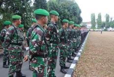 Kenali Seragam TNI AD, AU dan AL, Sama Sama Loreng Tapi Punya Ciri Khas Masing-Masing