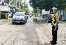 Tahun Baru, Arus Lalu Lintas di Kabupaten Kaur Padat Lancar 