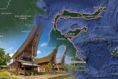 Menilik 10 Suku di Pulau Sulawesi, Salah Satunya Suku Buton, Begini Sejarah dan Adat Uniknya