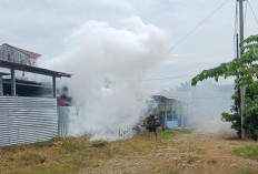 Cegah DBD Meluas, Dinkes Mukomuko Lakukan Penelitian Epidemiologi