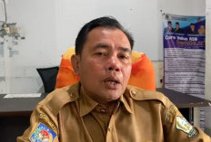 Pemkab Lebong Targetkan Kurban 25 Ekor Sapi, 12 Kecamatan Kebagian 
