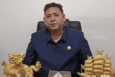 Isu Honorer Siluman di Seluma Menguat, Diduga Belum 2 Tahun Kerja Sudah Lulus PPPK