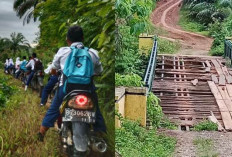 Warga Seluma Keluhkan Kondisi Jembatan Menuju ke Sekolah,  Lantainya Sudah Lapuk