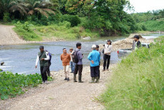 Benang Kusut PT ABS dan PT Jatropha, Beroperasi Tanpa HGU  