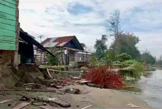Abrasi Pantai Semakin Parah, 2 Rumah Ambruk, BWSS VII Palembang Pasang 900 Geobox