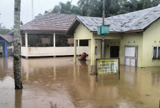 14 Rumah di 3 Desa Kabupaten Seluma Terendam Banjir 