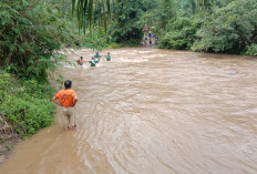 Jembatan Rusak, Warga di Kabupaten Seluma Bertaruh Nyawa Seberangi Sungai yang Meluap