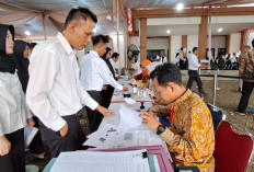  Meski Masuk Database BKN,  Ini Sebab 800 Honorer Bengkulu Utara Tak Bisa Ikut Tes PPPK  