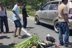 Motor Hantam Truk, Pelajar SMA Bengkulu Utara Tewas di Tempat, Begini Kronologinya