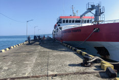 Gagal jadi Lokasi Bersandar Kapal, Dermaga Linau Harus Dirombak!