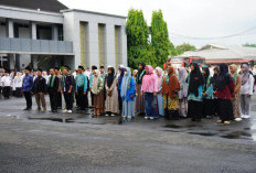 Tidak Lama Lagi, Nasib Ribuan Honorer Pemprov Bengkulu Ditentukan