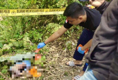 Polres Bengkulu Tengah Selidiki Pelaku Pembuangan Bayi hingga Tewas 