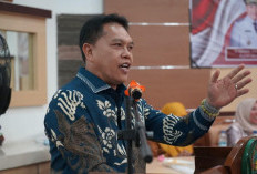 Azhari: Pencegahan Stunting Prioritas Pemkab Lebong