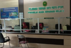 Angka Pernikahan Dini di Kepahiang Tinggi, Berpotensi Picu Kenaikan Stunting
