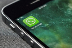 Ini Tips Jitu Menggunggah Foto atau Video di Status WhatsApp Tidak Pecah