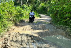 Jalan Desa Rusak Berat, Sulit Angkut Hasil Kebun Sawit 